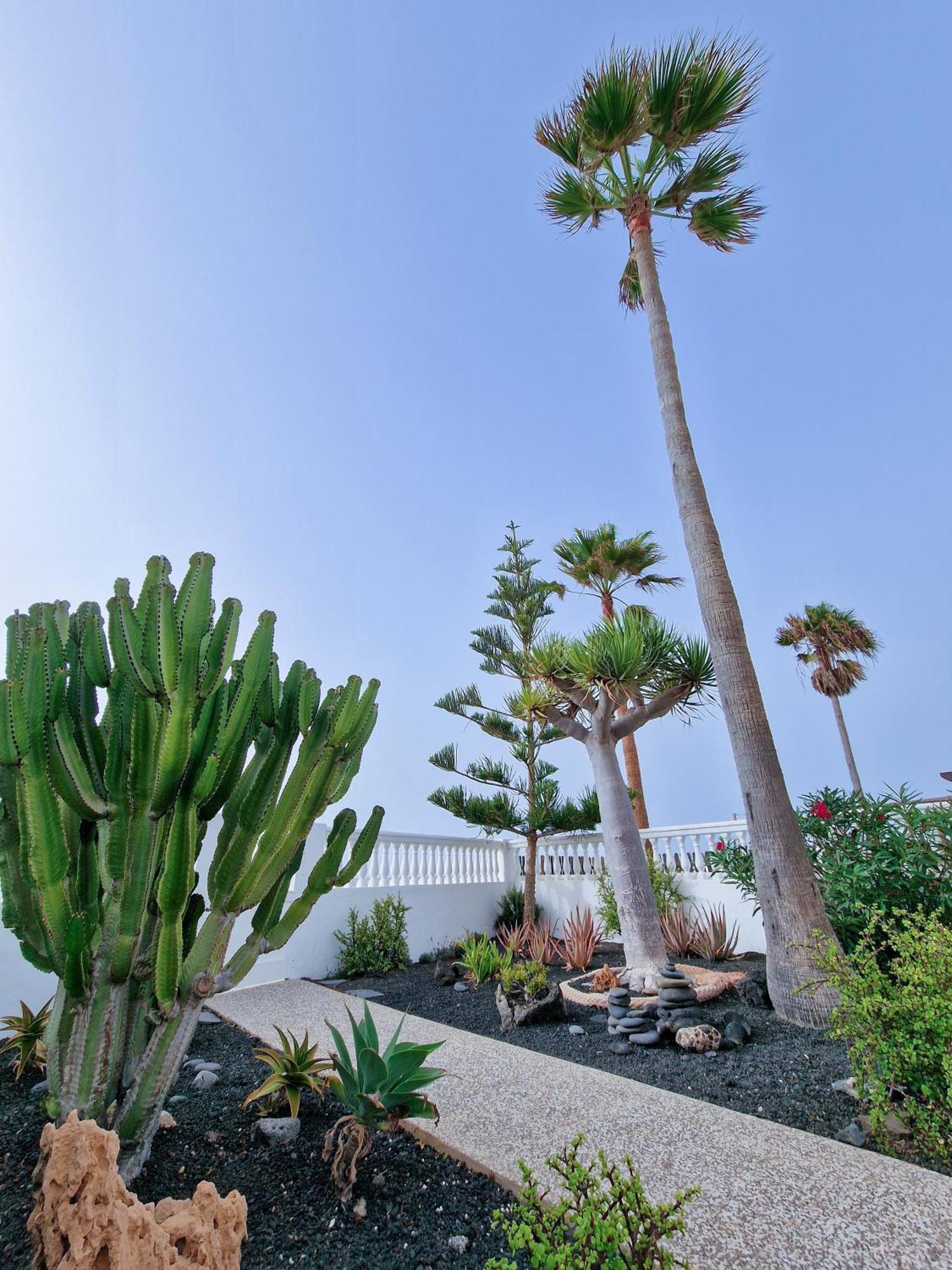 Villa La Maja Beachfront คอร์ราเลโฮ ภายนอก รูปภาพ